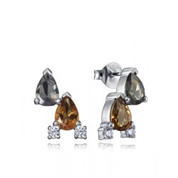 Pendientes Viceroy TREND 4105E000-39 mujer plata